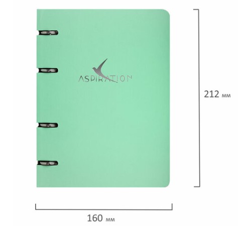 Тетрадь на кольцах А5 160х212 мм, 120 листов, картон, фольга, клетка, BRAUBERG, 