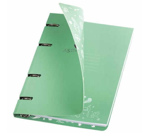 Тетрадь на кольцах А5 160х212 мм, 120 листов, картон, фольга, клетка, BRAUBERG, 