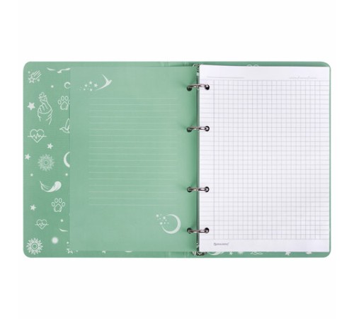 Тетрадь на кольцах А5 160х212 мм, 120 листов, картон, фольга, клетка, BRAUBERG, 