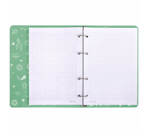 Тетрадь на кольцах А5 160х212 мм, 120 листов, картон, фольга, клетка, BRAUBERG, 