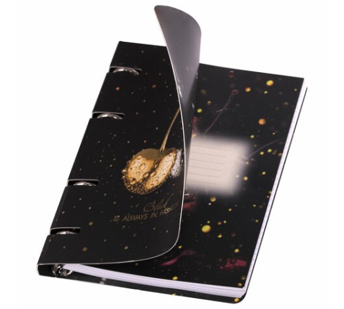 Тетрадь на кольцах А5 160х212 мм, 120 листов, картон, фольга, клетка, BRAUBERG, 