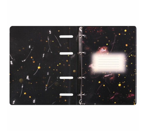 Тетрадь на кольцах А5 160х212 мм, 120 листов, картон, фольга, клетка, BRAUBERG, 