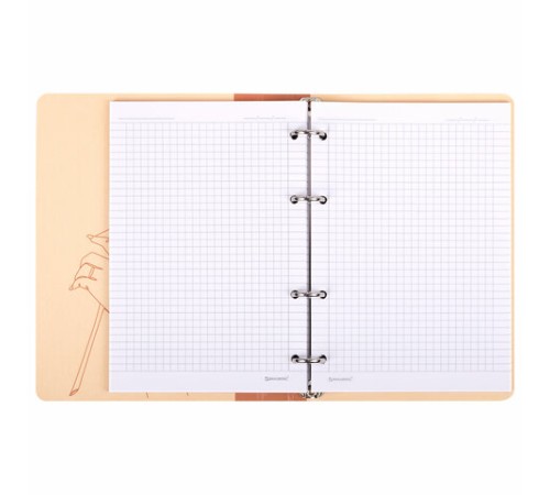 Тетрадь на кольцах А5 160х212 мм, 120 листов, картон, фольга, клетка, BRAUBERG, 