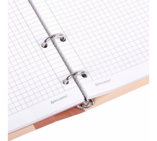 Тетрадь на кольцах А5 160х212 мм, 120 листов, картон, фольга, клетка, BRAUBERG, 