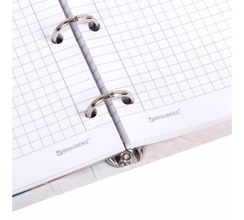 Тетрадь на кольцах А5 160х212 мм, 120 листов, картон, фольга, клетка, BRAUBERG, 