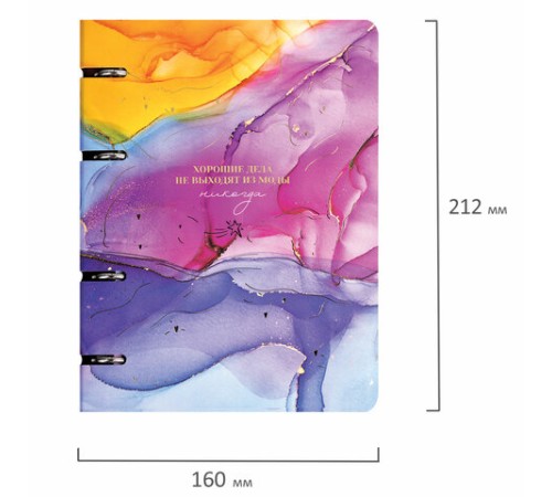 Тетрадь на кольцах А5 160х212 мм, 120 листов, картон, фольга, клетка, BRAUBERG, 