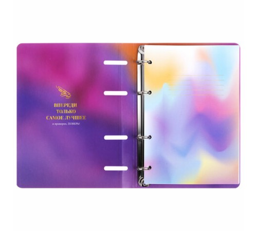 Тетрадь на кольцах А5 160х212 мм, 120 листов, картон, фольга, клетка, BRAUBERG, 