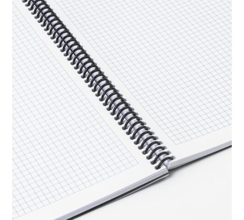 Тетрадь обложка пластик, А4, 120 л., спираль пластик, клетка, BRAUBERG 