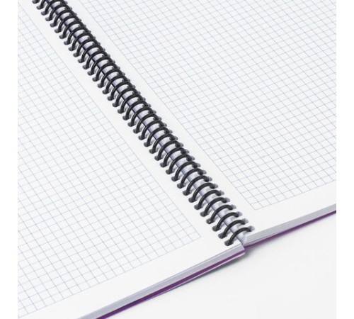 Тетрадь обложка пластик, А4, 80 л., спираль пластик, клетка, BRAUBERG 