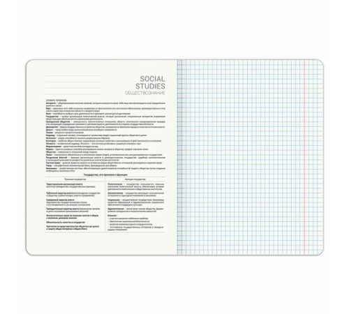 Тетрадь предметная PIGMENT 48 л., глянцевый УФ-лак, ОБЩЕСТВОЗНАНИЕ, клетка, подсказ, BRAUBERG, 404759