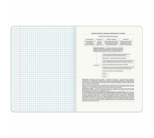 Тетрадь предметная PIGMENT 48 л., глянцевый УФ-лак, ОБЩЕСТВОЗНАНИЕ, клетка, подсказ, BRAUBERG, 404759