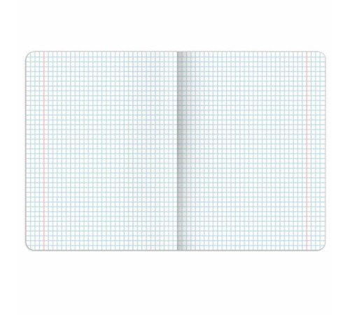 Тетрадь предметная PIGMENT 48 л., глянцевый УФ-лак, ГЕОМЕТРИЯ, клетка, подсказ, BRAUBERG, 404763