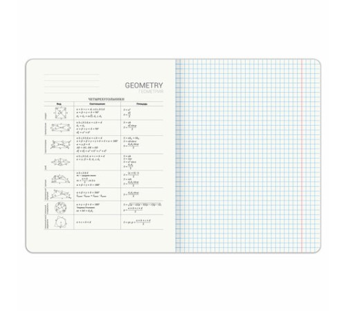Тетрадь предметная PIGMENT 48 л., глянцевый УФ-лак, ГЕОМЕТРИЯ, клетка, подсказ, BRAUBERG, 404763