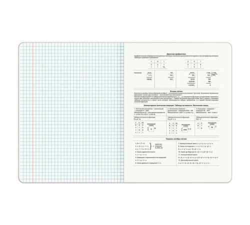 Тетрадь предметная PIGMENT 48 л., глянцевый УФ-лак, ИНФОРМАТИКА, клетка, подсказ, BRAUBERG, 404764