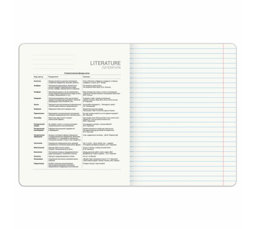 Тетрадь предметная PIGMENT 48 л., глянцевый УФ-лак, ЛИТЕРАТУРА, линия, подсказ, BRAUBERG, 404766