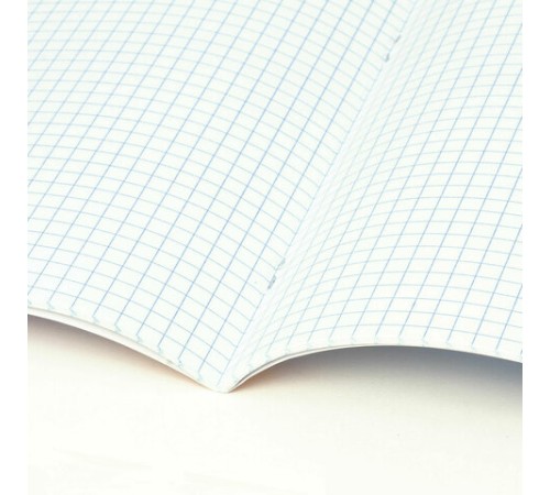 Тетрадь предметная PIGMENT 48 л., глянцевый УФ-лак, ФИЗИКА, клетка, подсказ, BRAUBERG, 404768