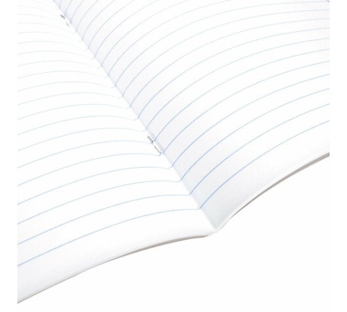 Тетрадь предметная ПРИРОДА 48 л., обложка картон, ЛИТЕРАТУРА, линия, подсказ, BRAUBERG, 404778