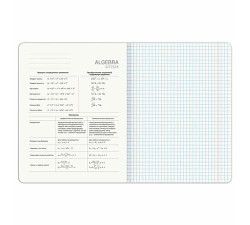 Тетрадь предметная DOG БОБИК 48 л., TWIN-лак, АЛГЕБРА, клетка, подсказ, BRAUBERG, 404782