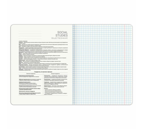 Тетрадь предметная DOG БОБИК 48 л., TWIN-лак, ОБЩЕСТВОЗНАНИЕ, клетка, подсказ, BRAUBERG, 404783