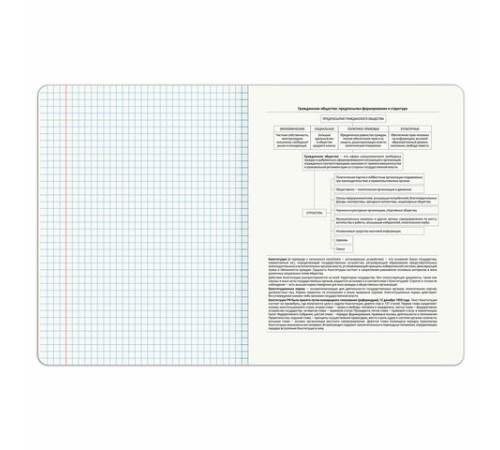 Тетрадь предметная DOG БОБИК 48 л., TWIN-лак, ОБЩЕСТВОЗНАНИЕ, клетка, подсказ, BRAUBERG, 404783