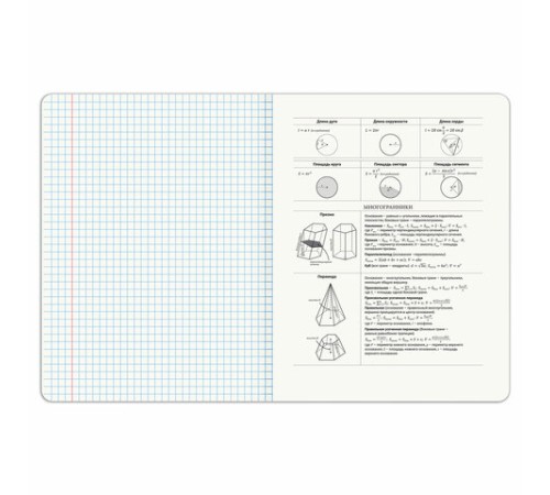 Тетрадь предметная DOG БОБИК 48 л., TWIN-лак, ГЕОМЕТРИЯ, клетка, подсказ, BRAUBERG, 404787
