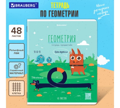 Тетрадь предметная DOG БОБИК 48 л., TWIN-лак, ГЕОМЕТРИЯ, клетка, подсказ, BRAUBERG, 404787