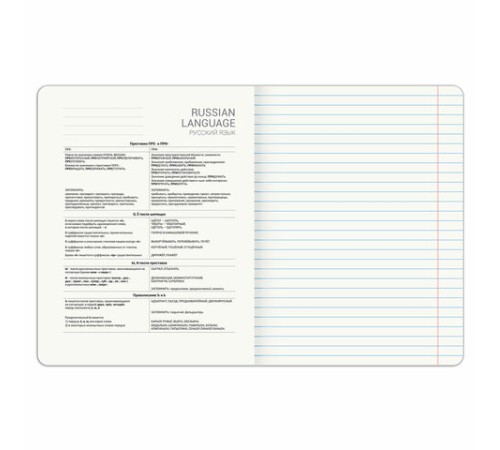 Тетрадь предметная DOG БОБИК 48 л., TWIN-лак, РУССКИЙ ЯЗЫК, линия, подсказ, BRAUBERG, 404791