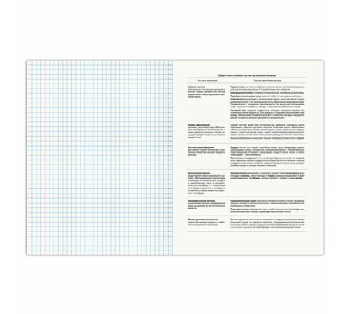 Тетрадь предметная 