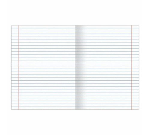 Тетрадь предметная 