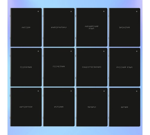 Тетради предметные, КОМПЛЕКТ 12 ПРЕДМЕТОВ, 48 л., матовая ламинация, BRAUBERG, 