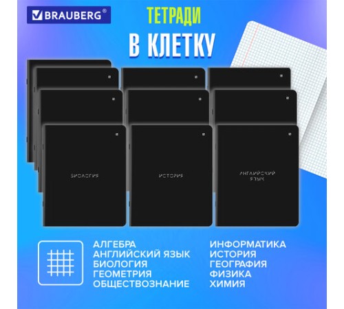 Тетради предметные, КОМПЛЕКТ 12 ПРЕДМЕТОВ, 48 л., матовая ламинация, BRAUBERG, 