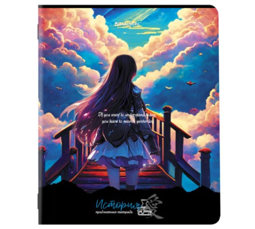 Тетради предметные, КОМПЛЕКТ 12 ПРЕДМЕТОВ, 48 л., матовая ламинация, BRAUBERG, 