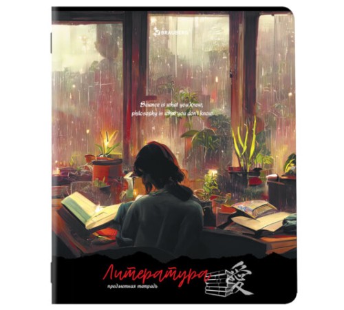 Тетради предметные, КОМПЛЕКТ 12 ПРЕДМЕТОВ, 48 л., матовая ламинация, BRAUBERG, 