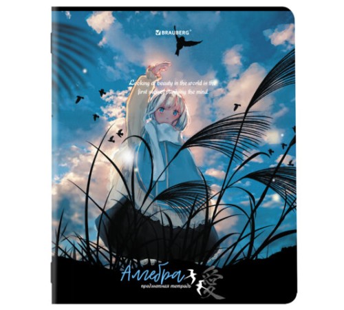 Тетради предметные, КОМПЛЕКТ 12 ПРЕДМЕТОВ, 48 л., матовая ламинация, BRAUBERG, 