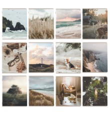 Тетради предметные, КОМПЛЕКТ 12 ПРЕДМЕТОВ, 48 л., SoftTouch, BRAUBERG, 