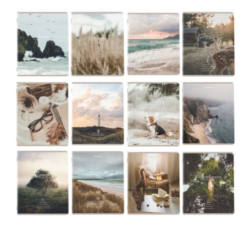 Тетради предметные, КОМПЛЕКТ 12 ПРЕДМЕТОВ, 48 л., SoftTouch, BRAUBERG, 