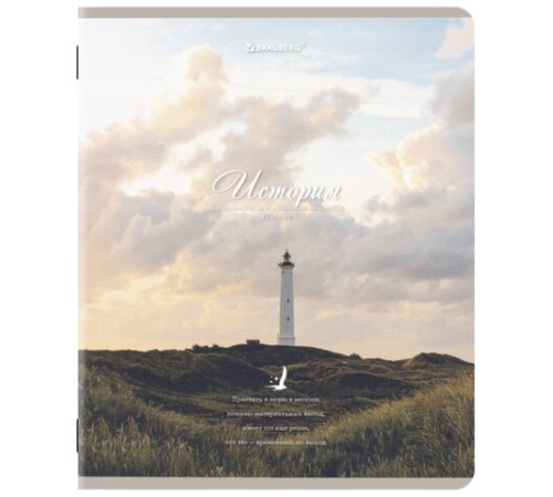 Тетради предметные, КОМПЛЕКТ 12 ПРЕДМЕТОВ, 48 л., SoftTouch, BRAUBERG, 