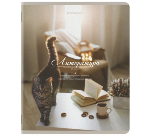 Тетради предметные, КОМПЛЕКТ 12 ПРЕДМЕТОВ, 48 л., SoftTouch, BRAUBERG, 