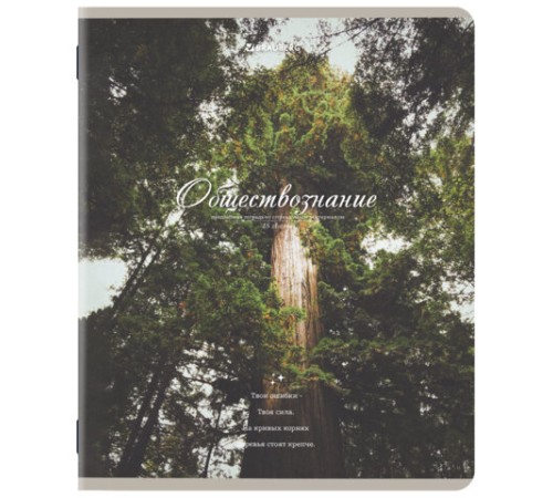 Тетради предметные, КОМПЛЕКТ 12 ПРЕДМЕТОВ, 48 л., SoftTouch, BRAUBERG, 