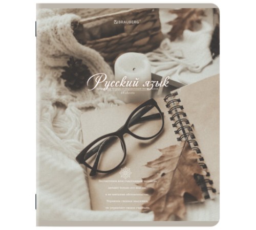 Тетради предметные, КОМПЛЕКТ 12 ПРЕДМЕТОВ, 48 л., SoftTouch, BRAUBERG, 