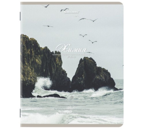 Тетради предметные, КОМПЛЕКТ 12 ПРЕДМЕТОВ, 48 л., SoftTouch, BRAUBERG, 