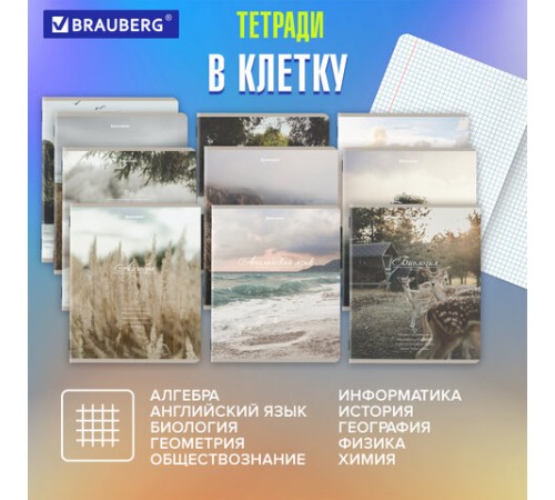 Тетради предметные, КОМПЛЕКТ 12 ПРЕДМЕТОВ, 48 л., SoftTouch, BRAUBERG, 