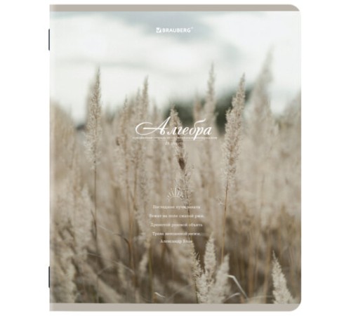 Тетради предметные, КОМПЛЕКТ 12 ПРЕДМЕТОВ, 48 л., SoftTouch, BRAUBERG, 