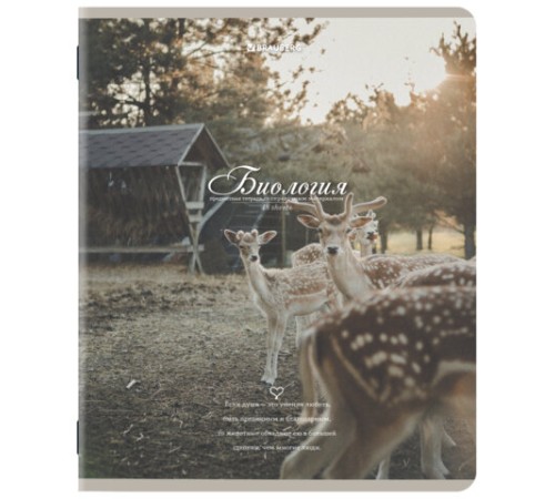 Тетради предметные, КОМПЛЕКТ 12 ПРЕДМЕТОВ, 48 л., SoftTouch, BRAUBERG, 