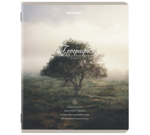 Тетради предметные, КОМПЛЕКТ 12 ПРЕДМЕТОВ, 48 л., SoftTouch, BRAUBERG, 