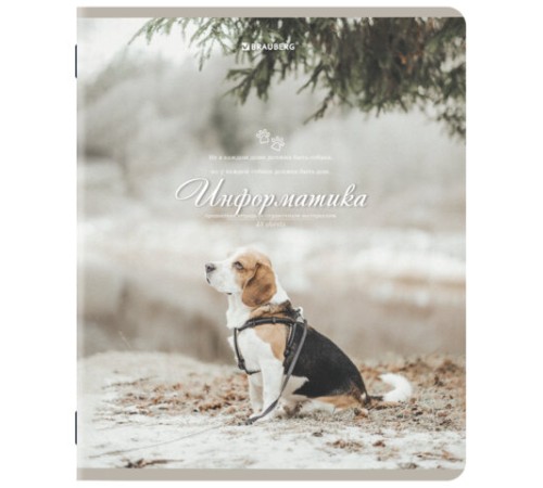 Тетради предметные, КОМПЛЕКТ 12 ПРЕДМЕТОВ, 48 л., SoftTouch, BRAUBERG, 