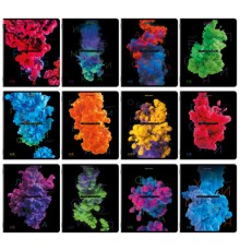 Тетради предметные, КОМПЛЕКТ 12 ПРЕДМЕТОВ, 48 л., глянцевый УФ-лак, BRAUBERG, 