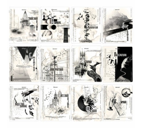 Тетради предметные, КОМПЛЕКТ 12 ПРЕДМЕТОВ, 48 л., матовая ламинация, BRAUBERG, 