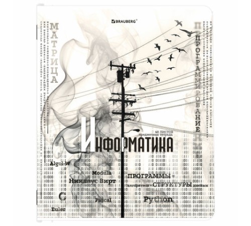 Тетради предметные, КОМПЛЕКТ 12 ПРЕДМЕТОВ, 48 л., матовая ламинация, BRAUBERG, 