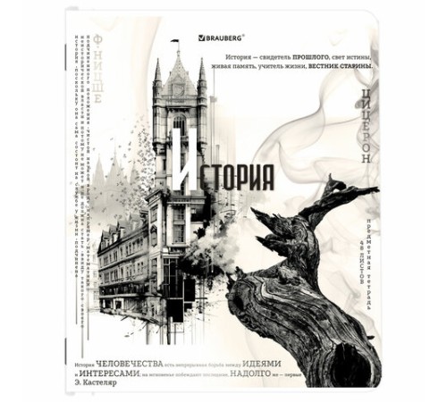 Тетради предметные, КОМПЛЕКТ 12 ПРЕДМЕТОВ, 48 л., матовая ламинация, BRAUBERG, 